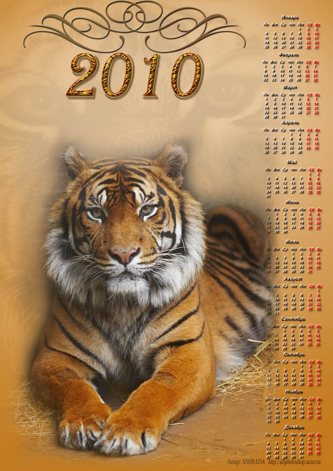 Годы после тигра. Год тигра. Календарь тигр. Тигр 2022 год. Календарь 2022 год.